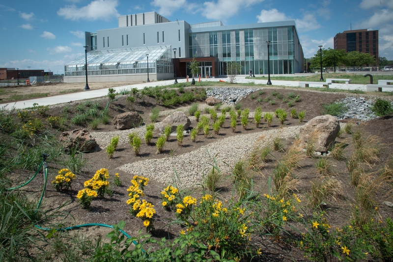 Exterior shot of the Science and Math Complex showing landscaping
