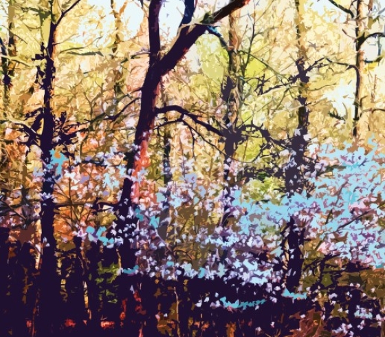 Color illustration of a serviceberry tree