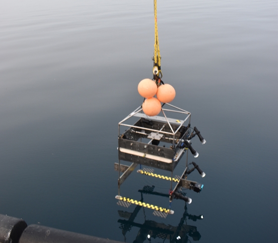 Benthic Imaging System is deployed to collect video from all depths in Lake Michigan