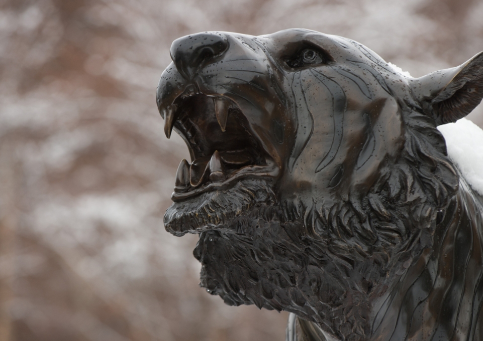 Bengal statue with snow on top