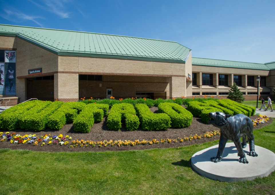 Hedges outside Sports Arena trimmed to spell Buffalo State