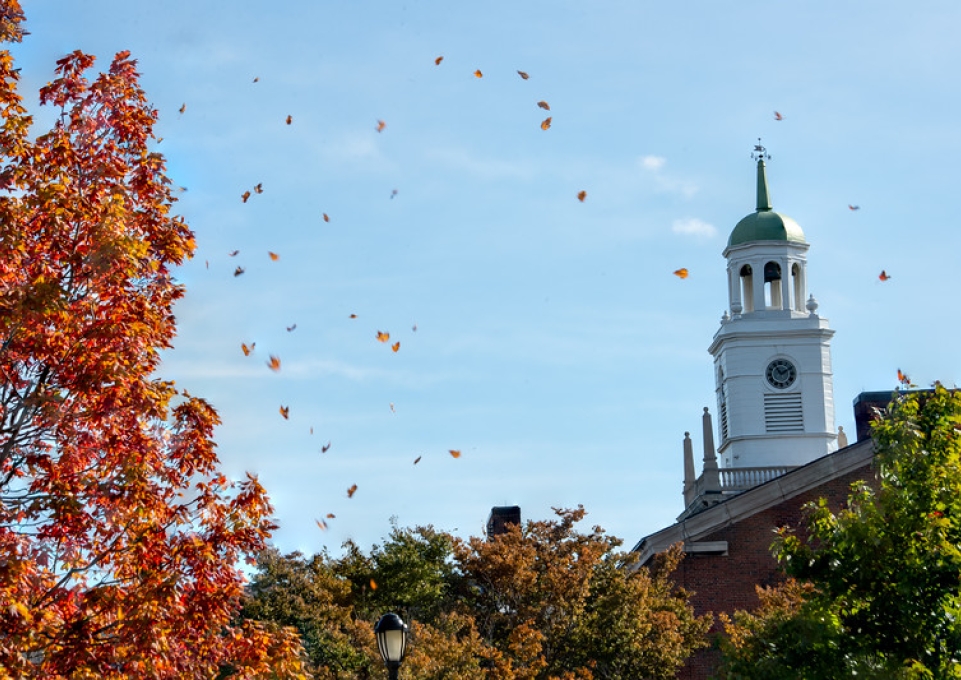 Fall leaves blowing in the breeze with Rockwell Hall bell tower in the background
