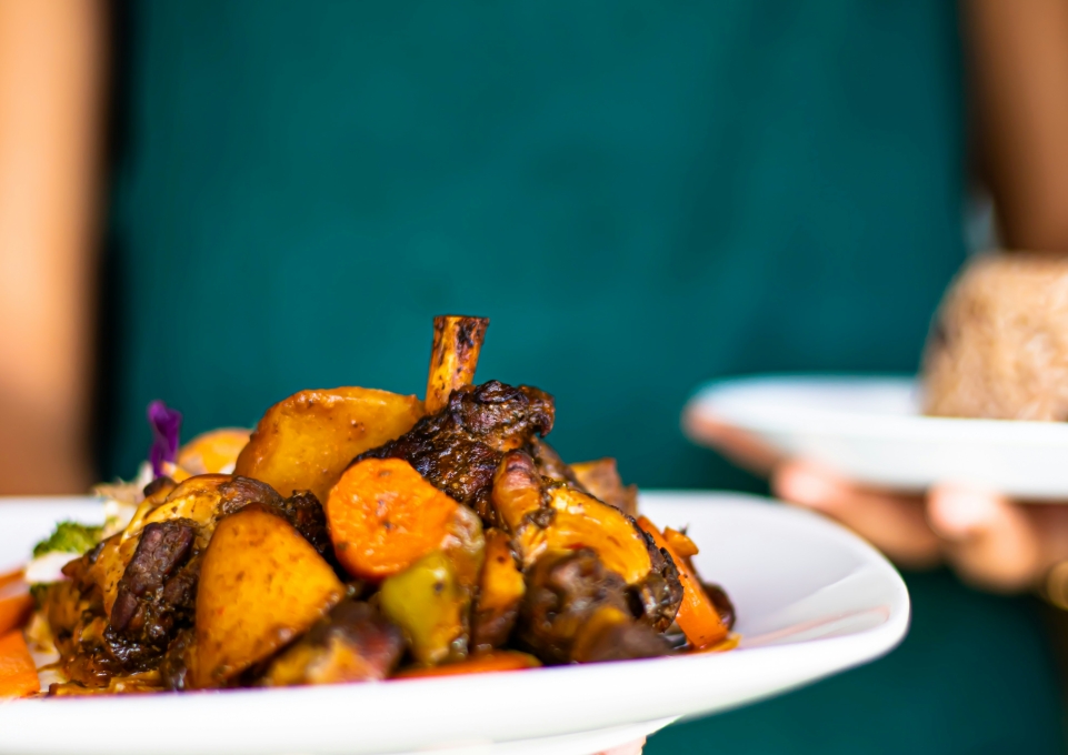 Person holding a plate of food