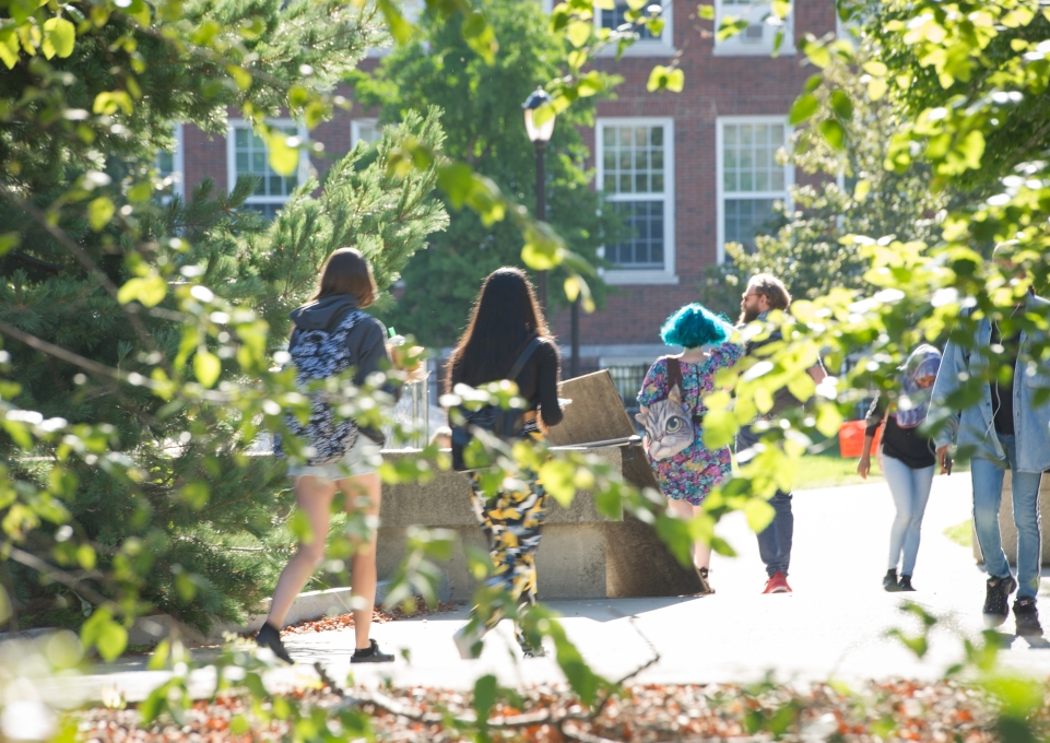 Students walking surrounded by green foliage