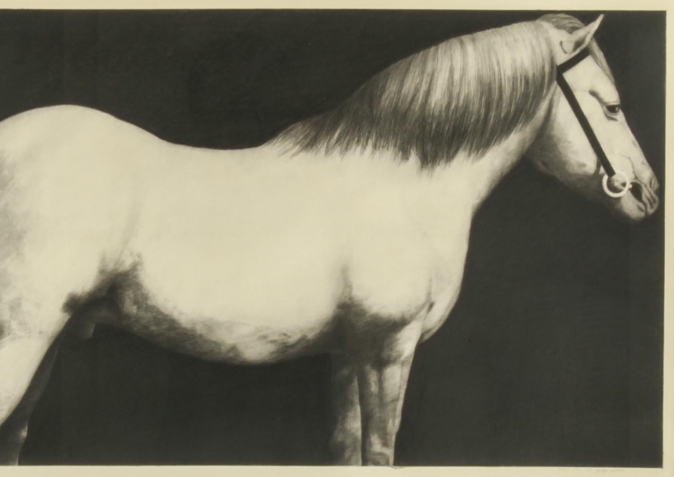 Artwork by Joseph Piccillo